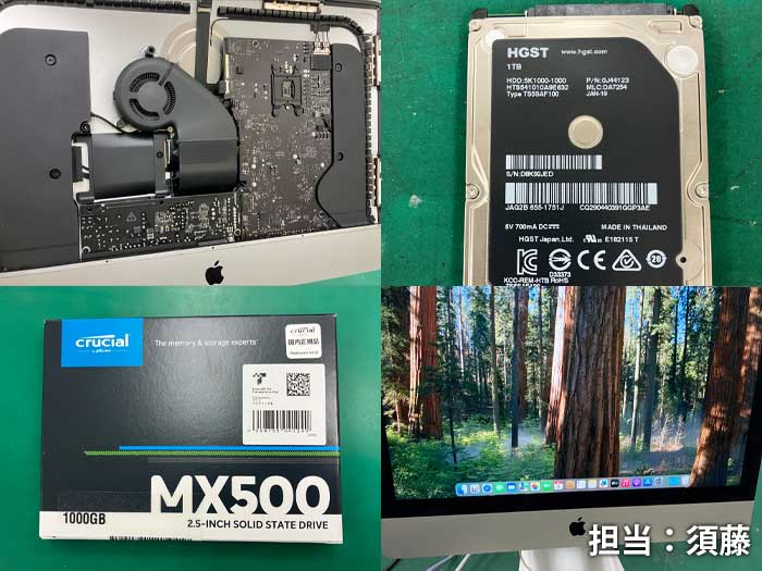 SSD_Mac_20260608b.jpg